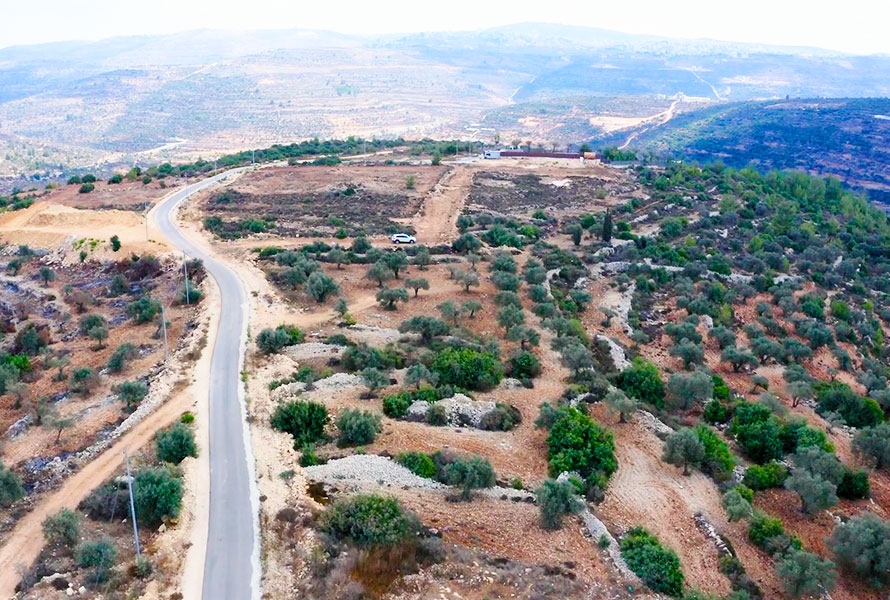  علالي بيرزيت 