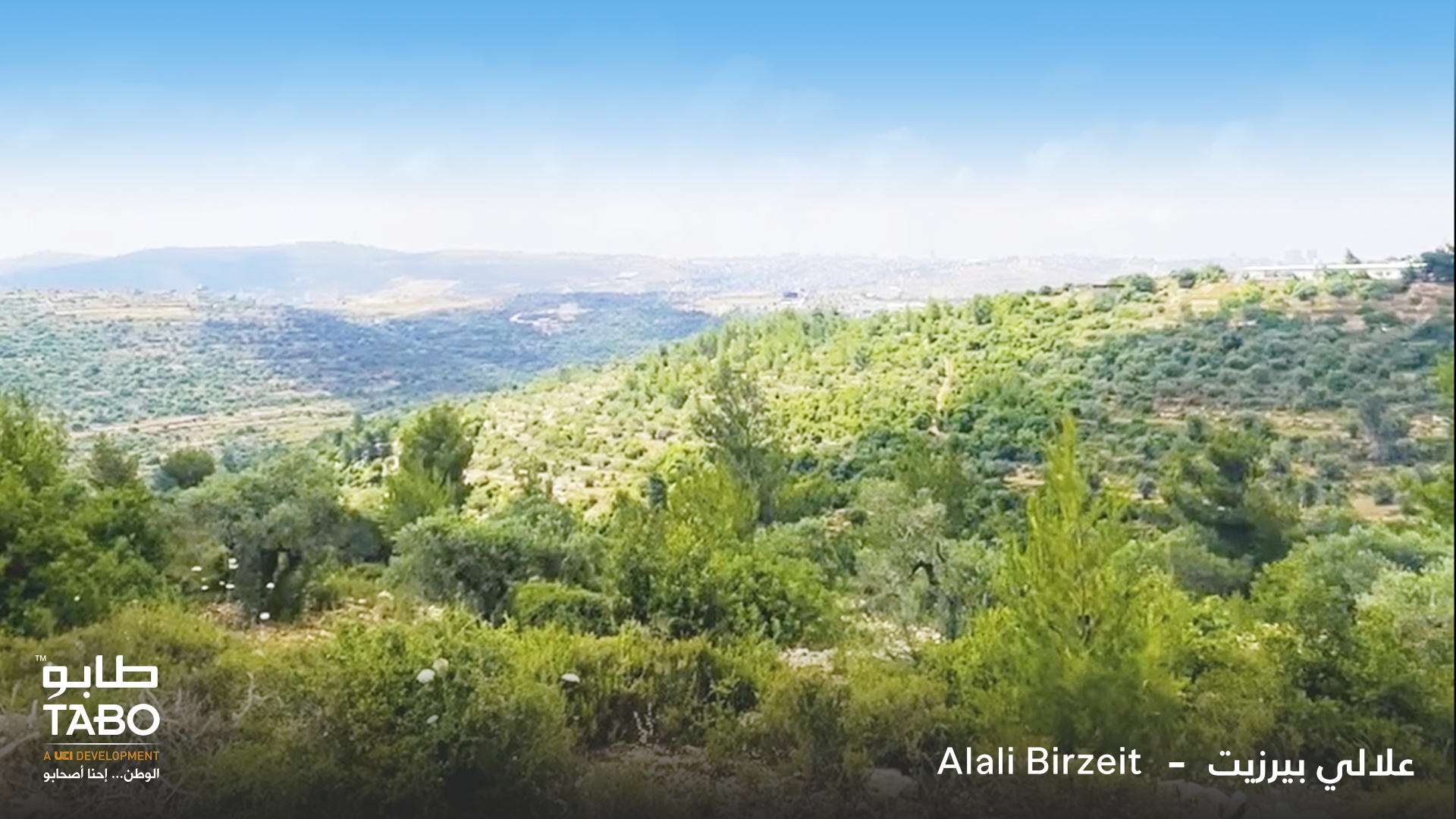 علالي بيرزيت