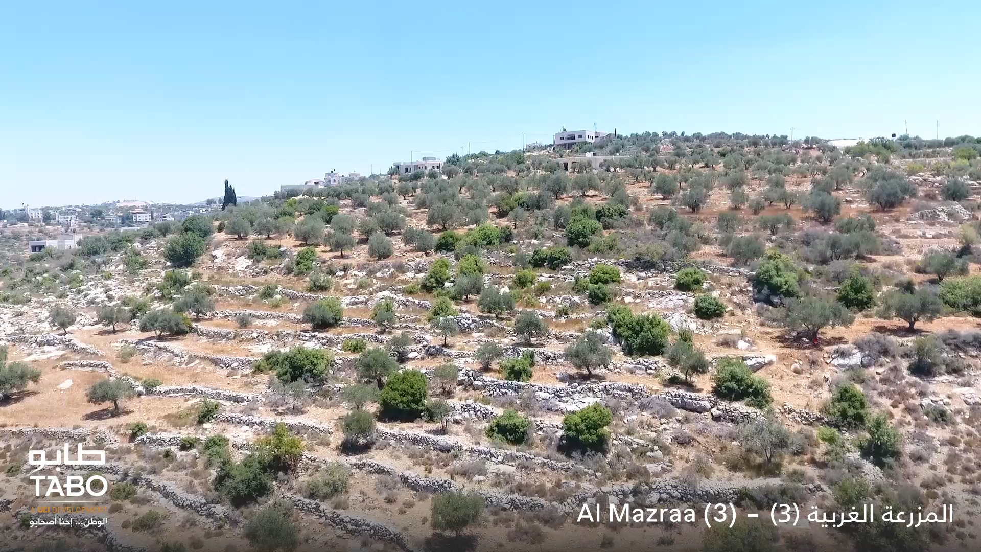  Al Mazraa 