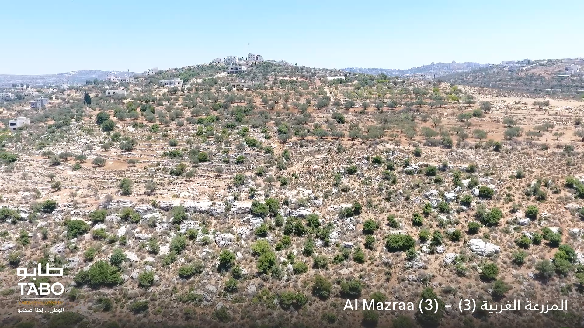  Al Mazraa 