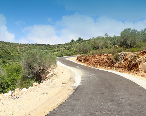 Alali Birzeit