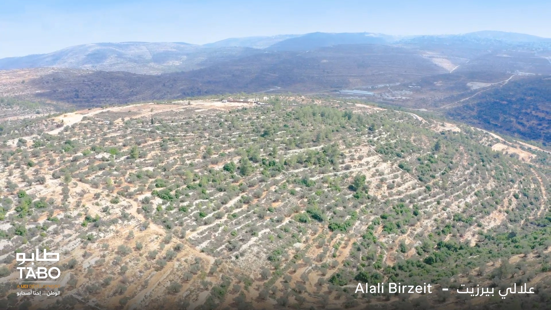 علالي بيرزيت