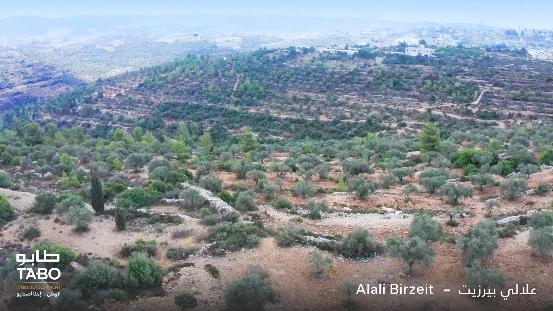 علالي بيرزيت