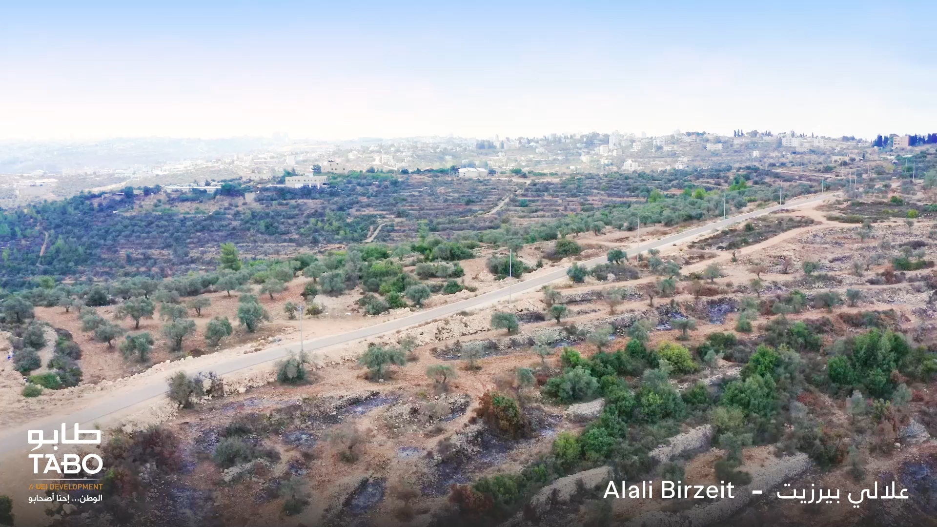 علالي بيرزيت