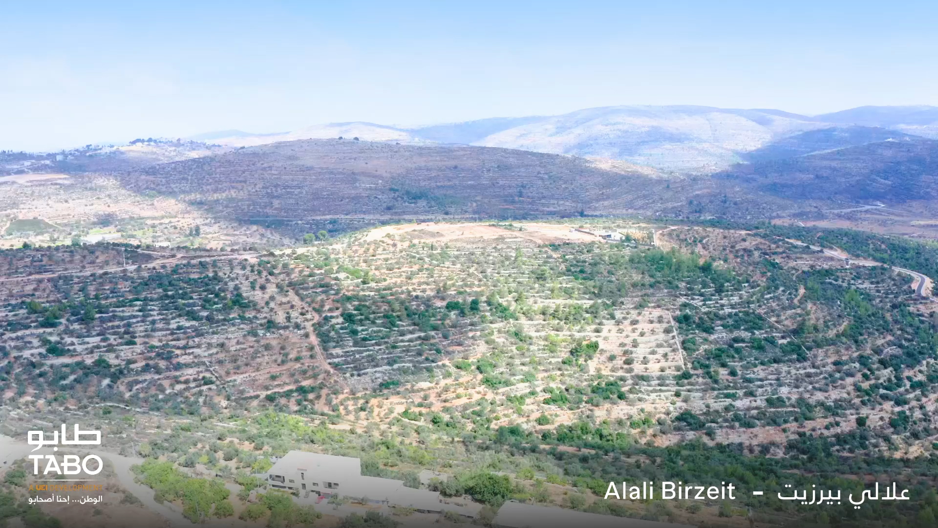 علالي بيرزيت