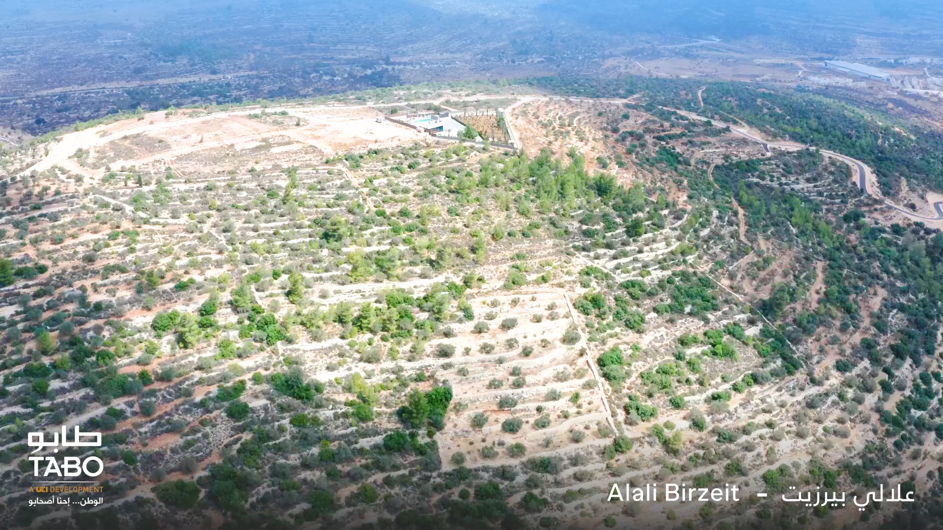 علالي بيرزيت