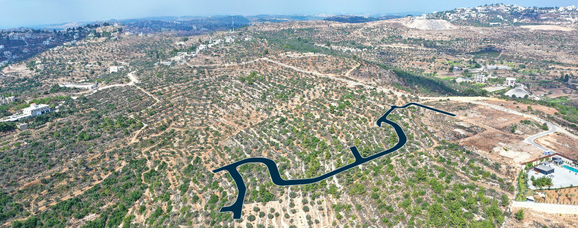 علالي بيرزيت  