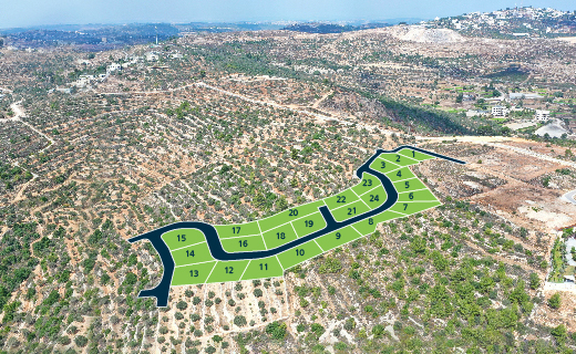 علالي بيرزيت