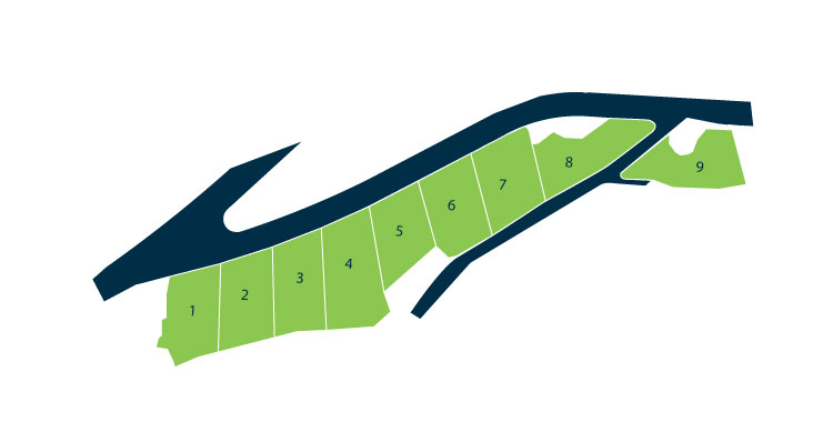 فرخة Q4    - مشاهدة المخطط الرئيسي 2D