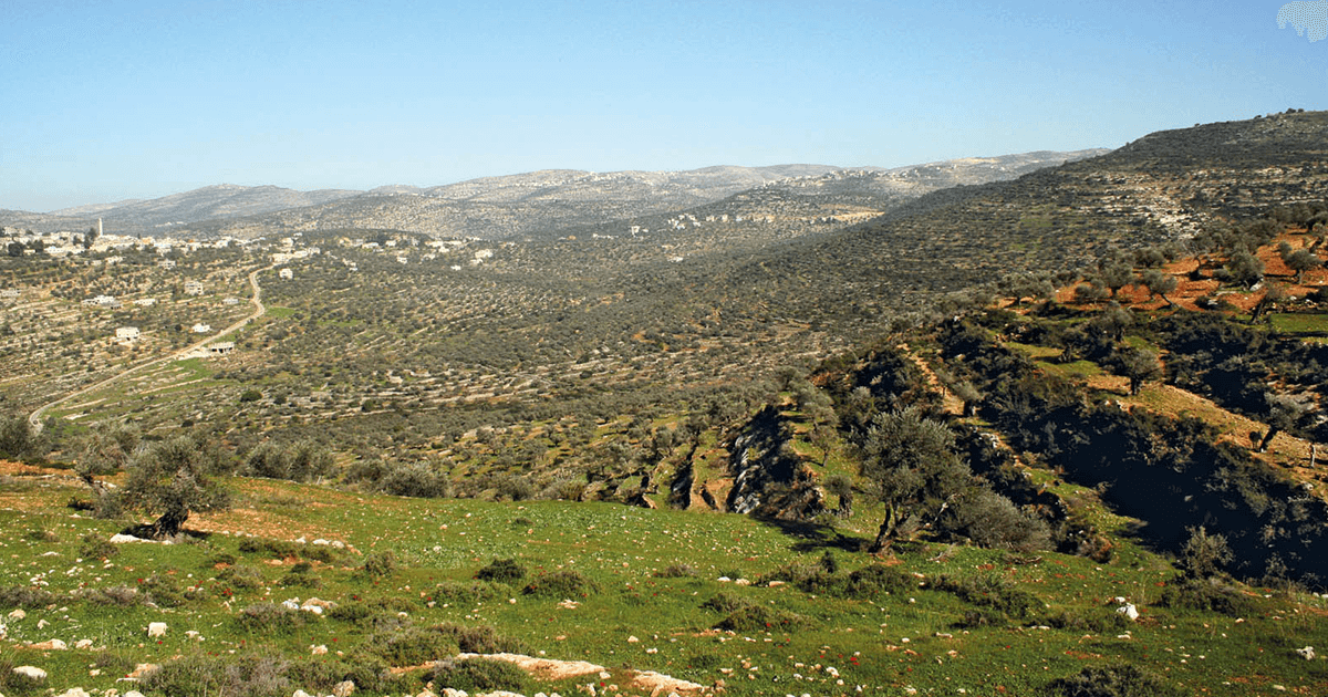 TABO issue first Parcelized Title Deeds in Kufr Ein