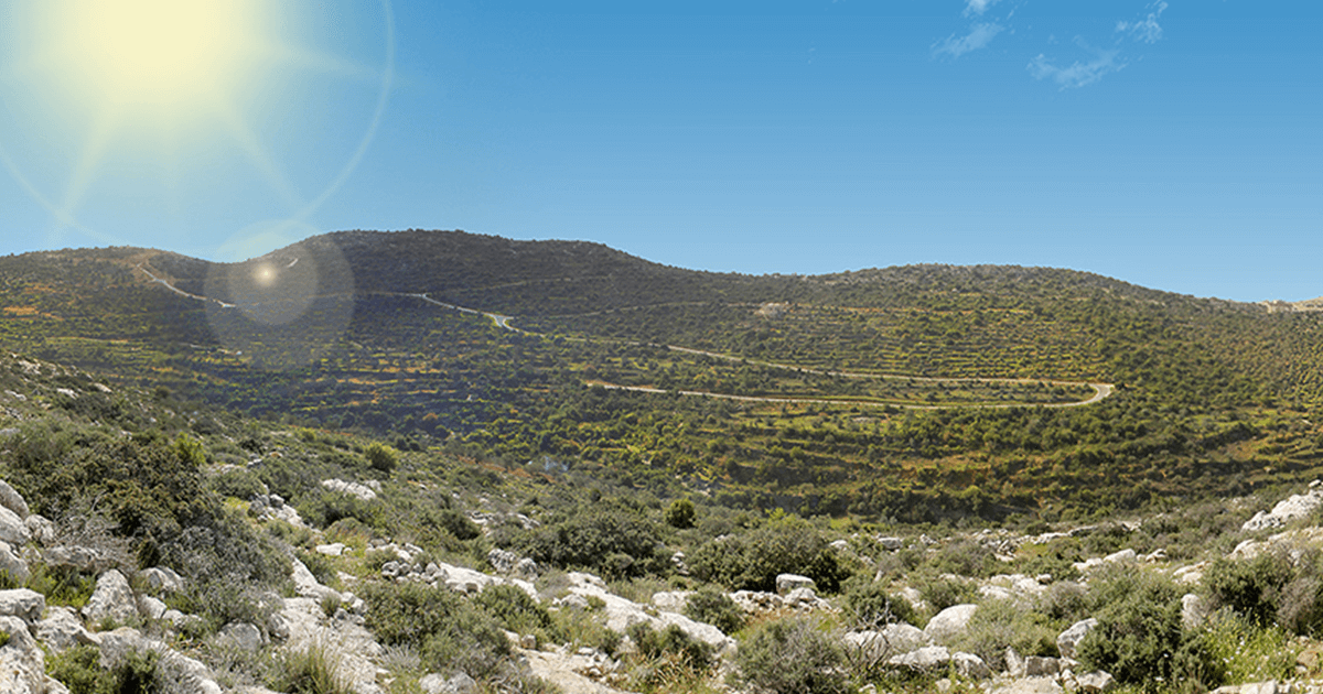 مشروع "طابو" يطرح مخطط هيكلي جديد في فرخة بمحافظة سلفيت