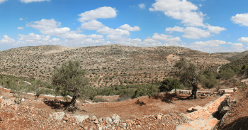 Landscaping Virtual Tour