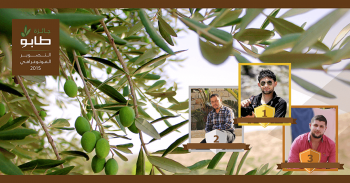 مشروع طابو يعلن أسماء الفائزين في مسابقة أفضل صورة في موسم قطف الزيتون