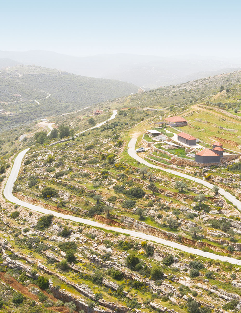 طرق تم شقها من خلال مشروع طابو